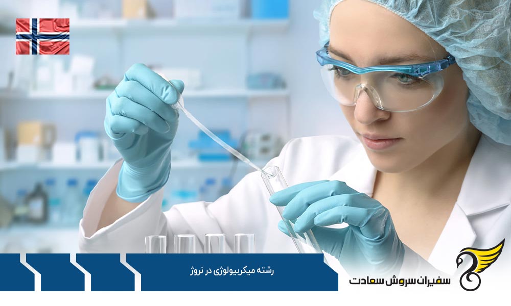 کار ضمن تحصیل در رشته میکروبیولوژی در نروژ