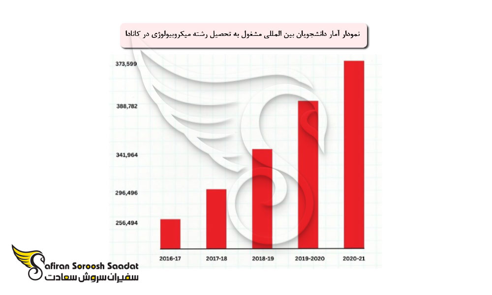 برنامه های درسی رشته میکروبیولوژی در کانادا