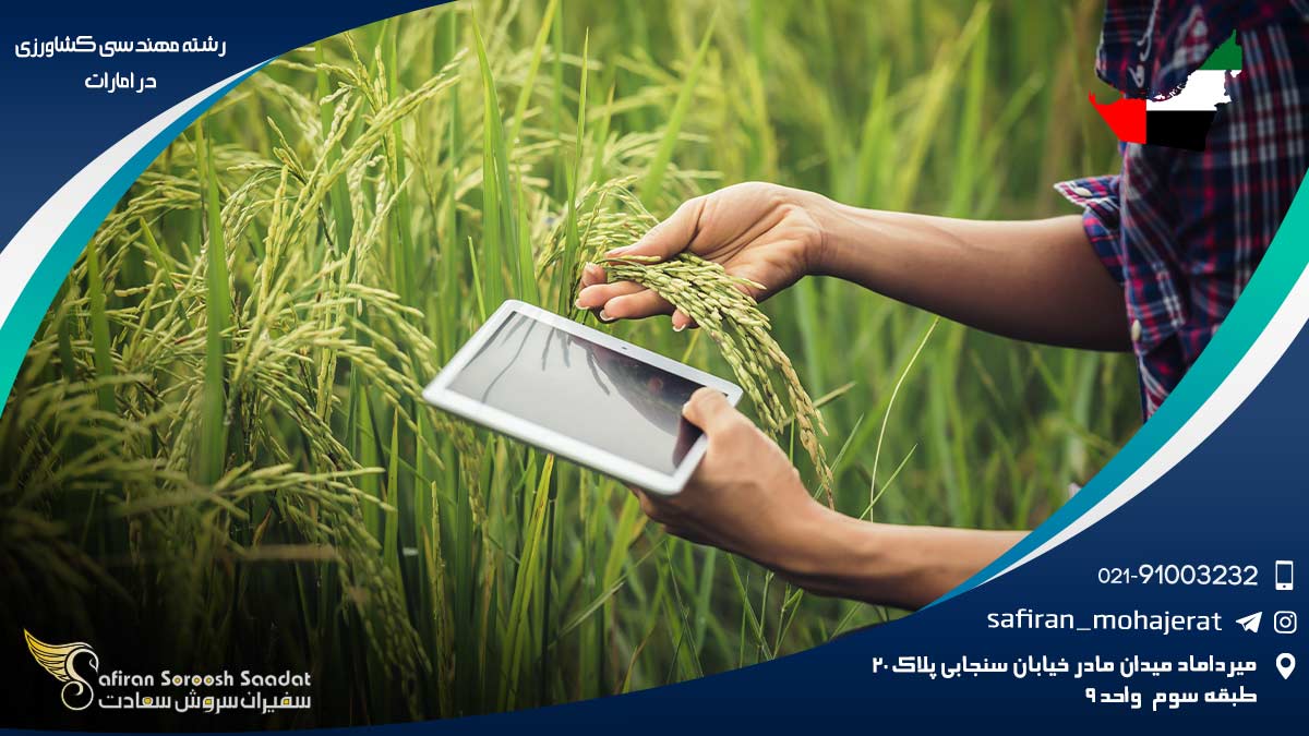 رشته مهندسی کشاورزی در امارات