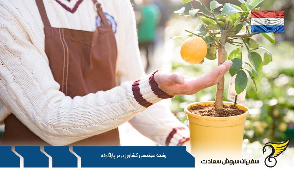 شرایط تحصیل رشته مهندسی کشاورزی در پاراگوئه