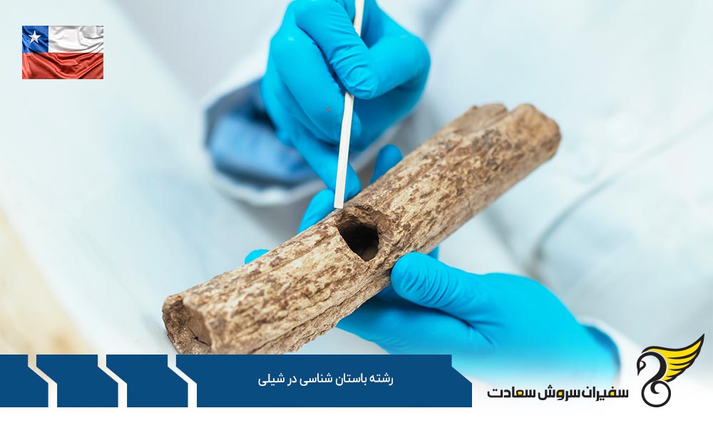 شرایط تحصیل رشته باستان شناسی در شیلی