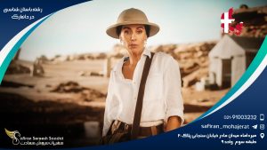 رشته باستان شناسی در دانمارک