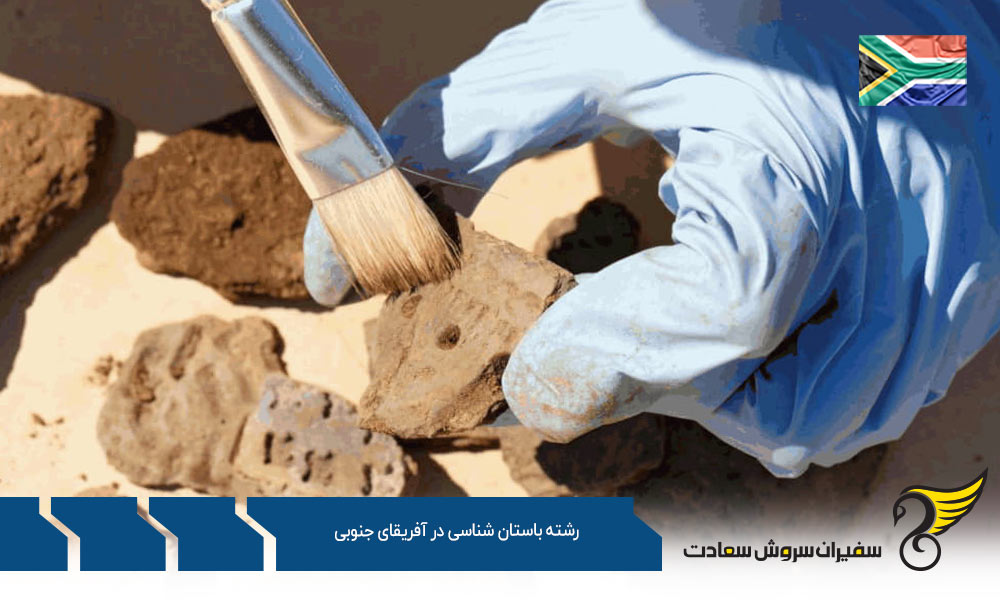 بهترین دانشگاه ها برای رشته باستان شناسی در آفریقای جنوبی