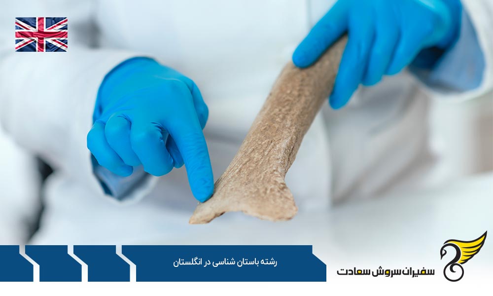 بهترین دانشگاه ها برای تحصیل در رشته باستان شناسی در انگلستان