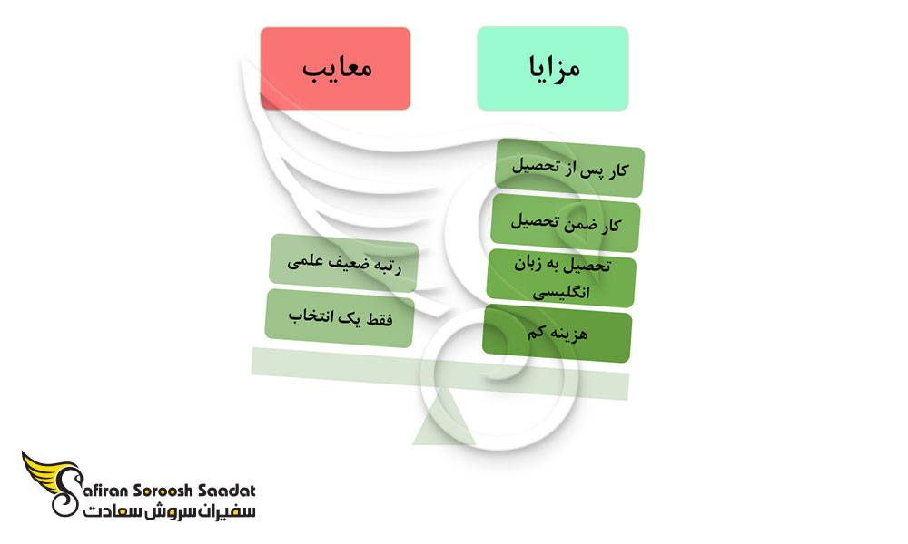 مزایا و معایب تحصیل رشته رادیولوژی در اسلوونی
