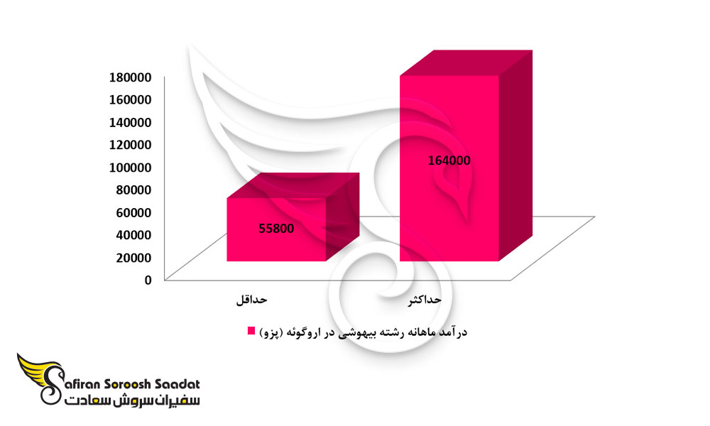 درآمد رشته بیهوشی در اروگوئه