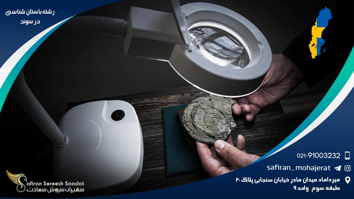 رشته باستان شناسی در سوئد