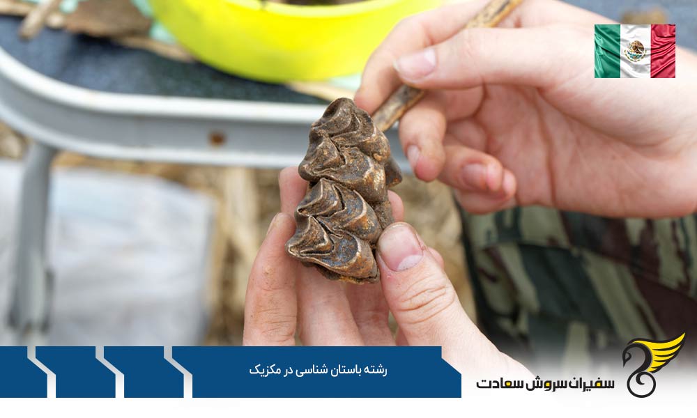شرایط تحصیل رشته باستان شناسی در مکزیک