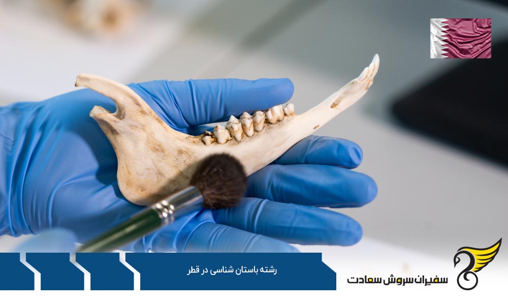شرایط تحصیل رشته باستان شناسی در قطر