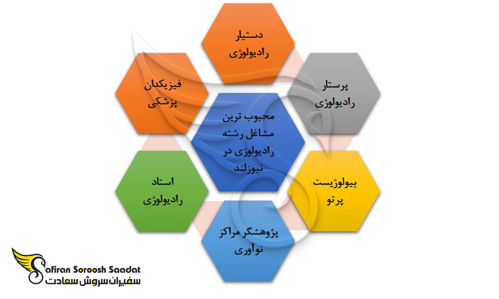 محبوب ترین مشاغل رشته رادیولوژی در نیوزلند