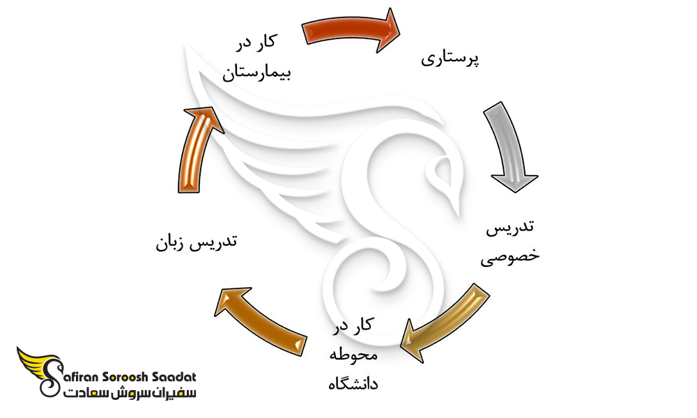 مشاغل دانشجویی در اسکاتلند