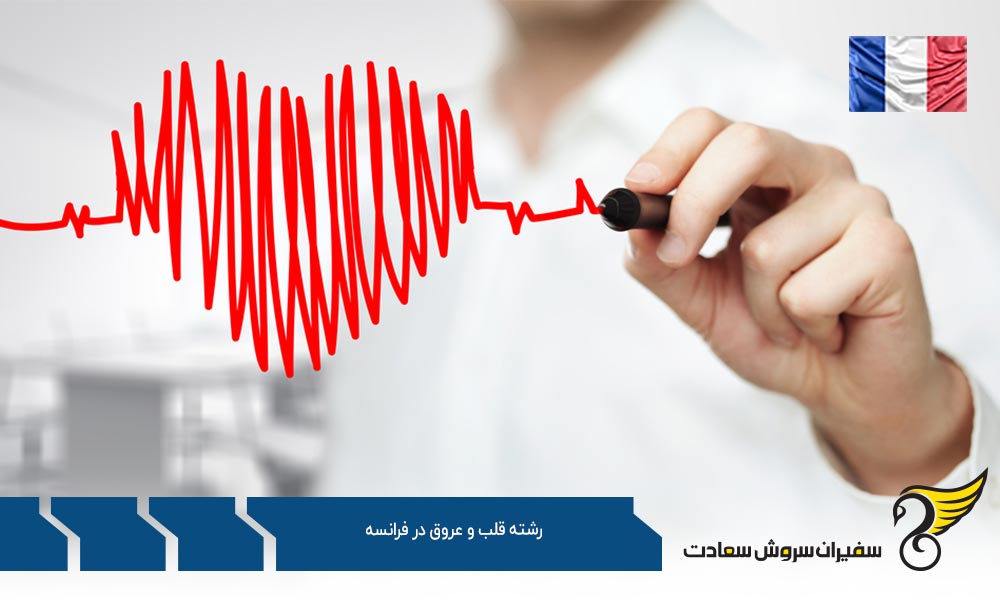 درباره تحصیل رشته قلب و عروق در فرانسه