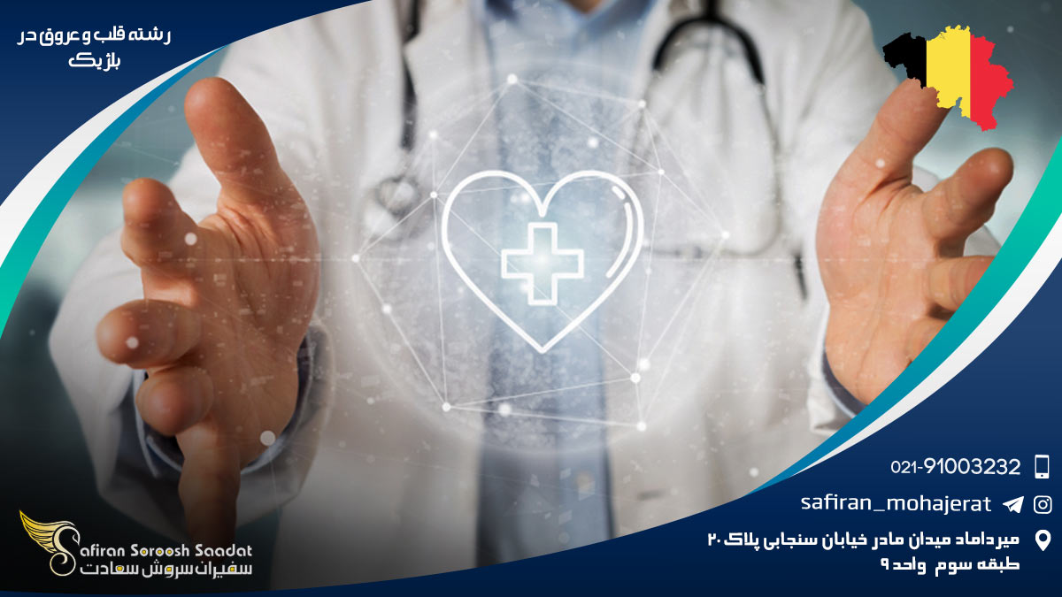 رشته قلب و عروق در بلژیک