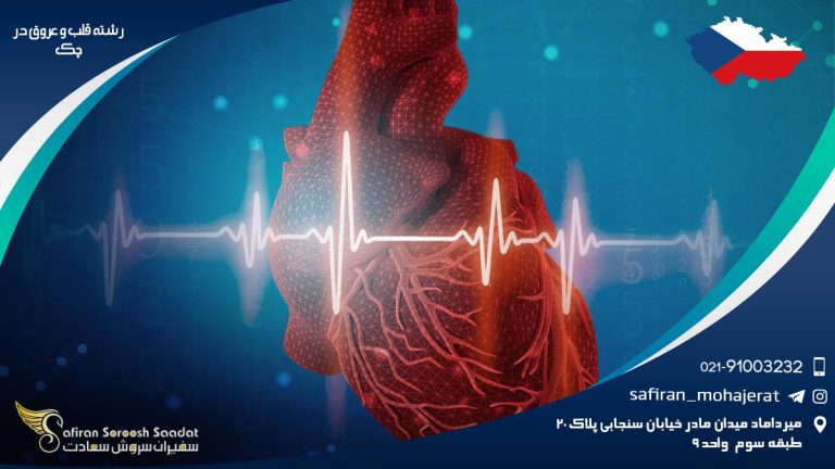 رشته قلب و عروق در چک