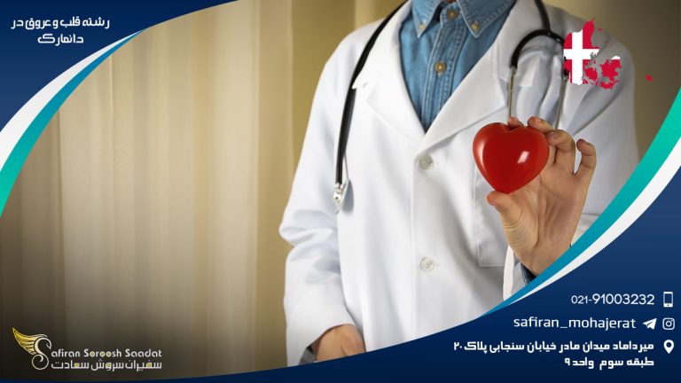 رشته قلب و عروق در دانمارک