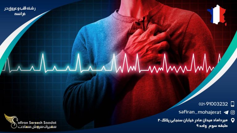 رشته قلب و عروق در فرانسه