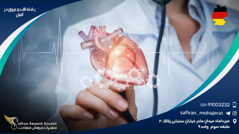 رشته قلب و عروق در آلمان