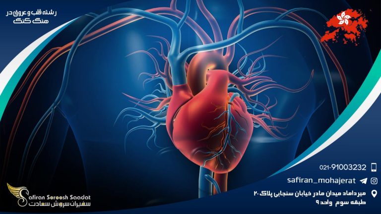 رشته قلب و عروق در هنگ کنگ