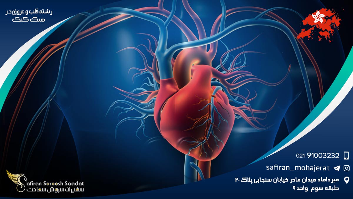 رشته قلب و عروق در هنگ کنگ