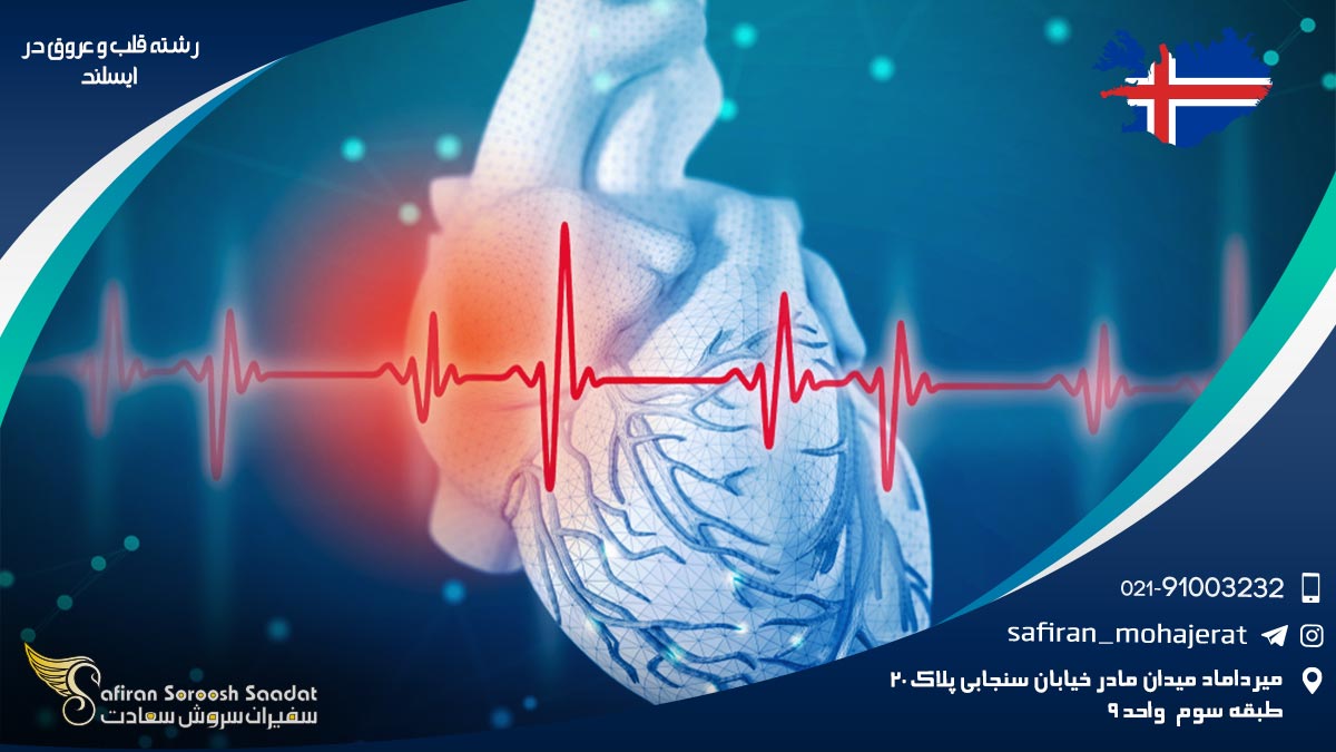 رشته قلب و عروق در ایسلند