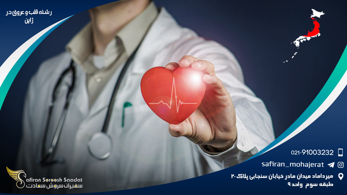 رشته قلب و عروق در ژاپن