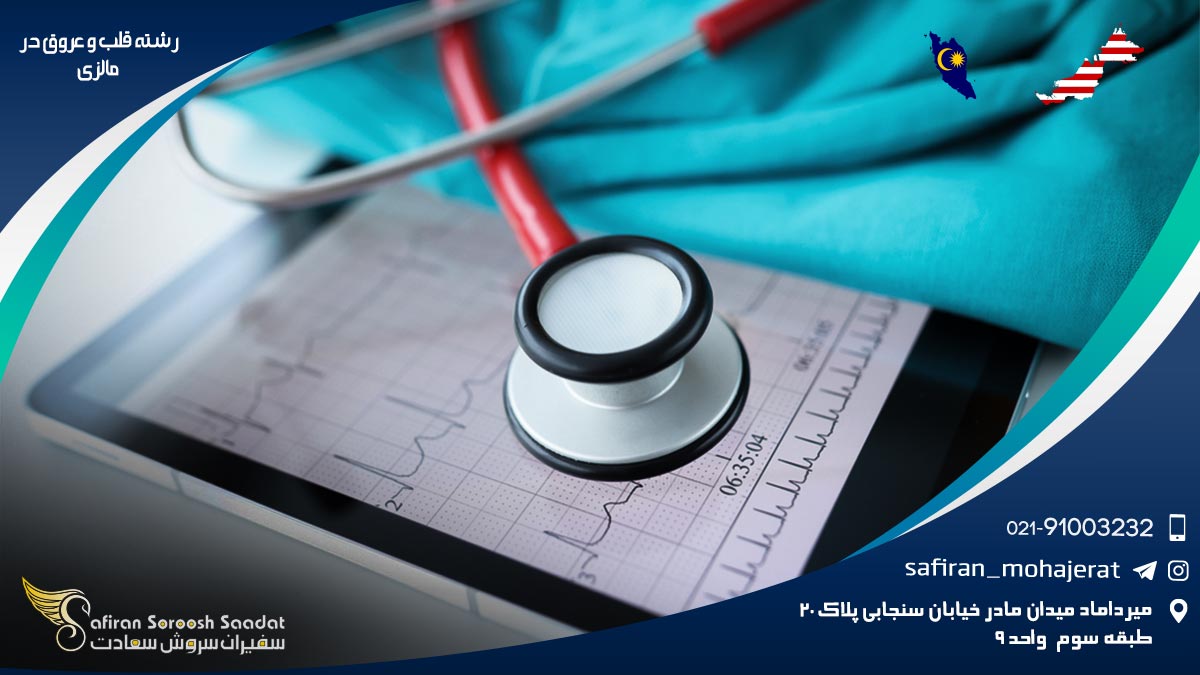 رشته قلب و عروق در مالزی