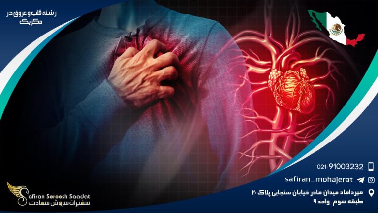 رشته قلب و عروق در مکزیک