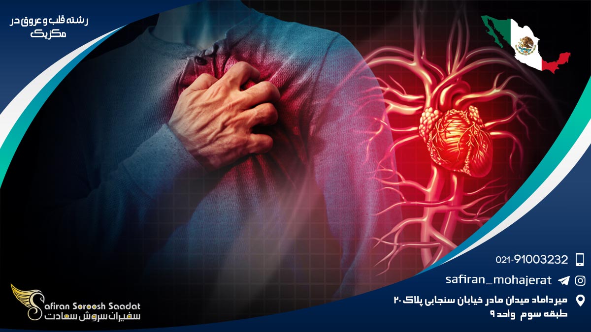 رشته قلب و عروق در مکزیک