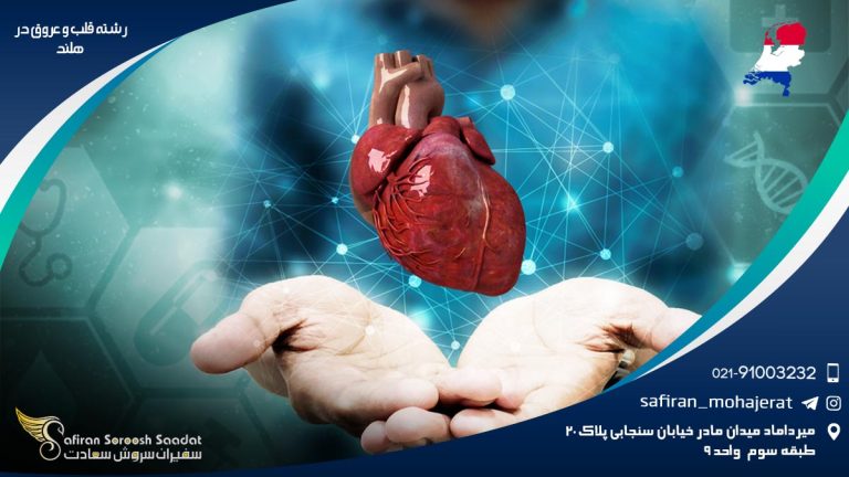 رشته قلب و عروق در هلند