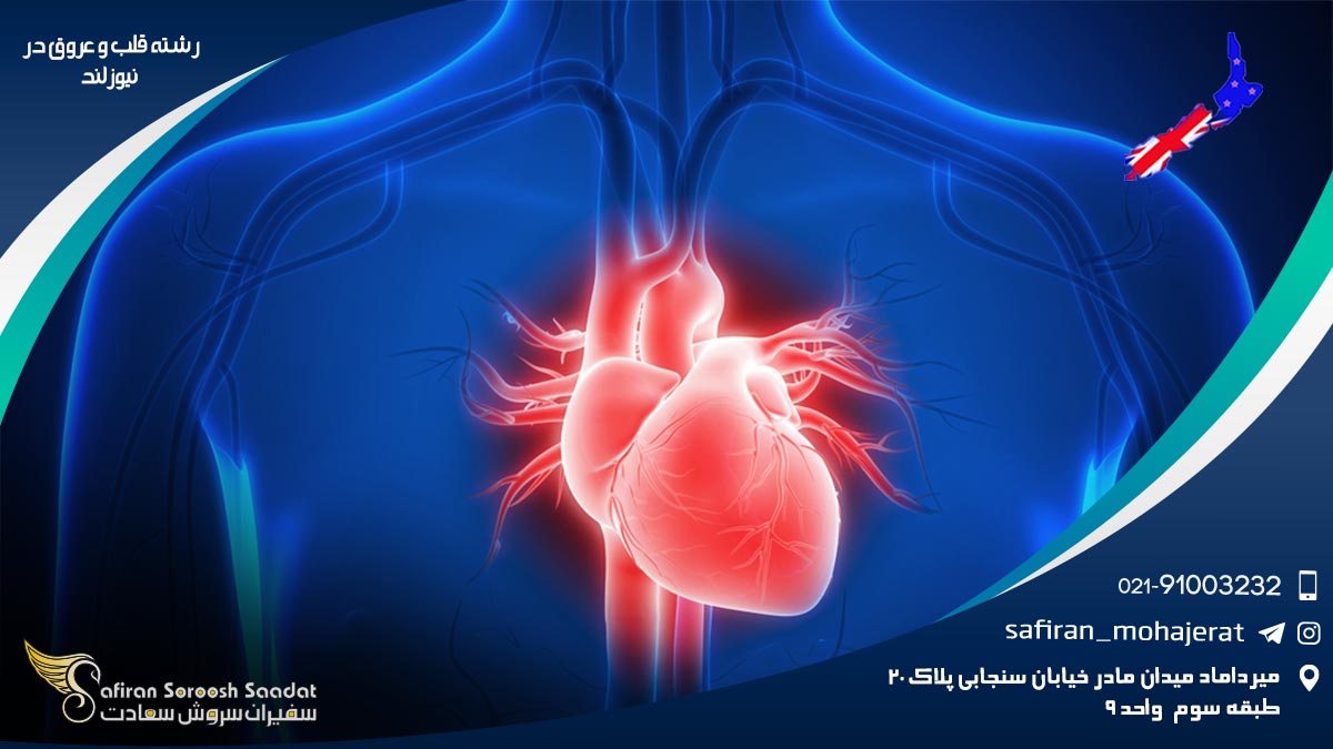 رشته قلب و عروق در نیوزلند