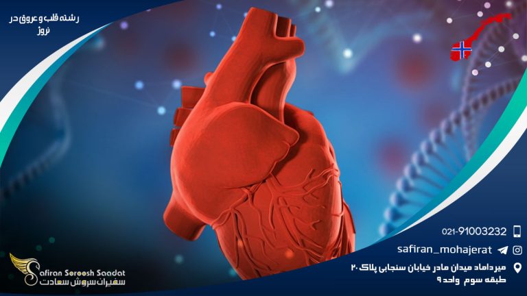 رشته قلب و عروق در نروژ