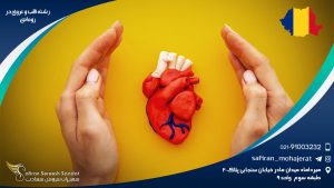 رشته قلب و عروق در رومانی