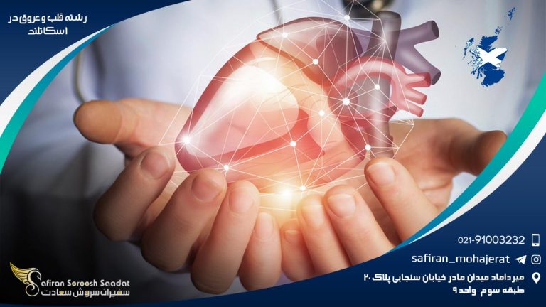 رشته قلب و عروق در اسکاتلند