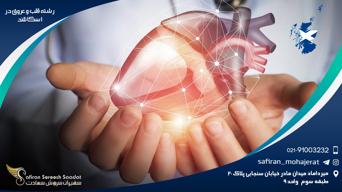 رشته قلب و عروق در اسکاتلند