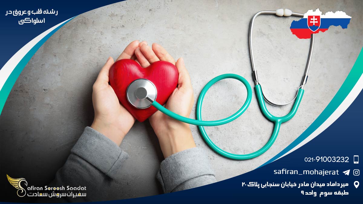 رشته قلب و عروق در اسلواکی