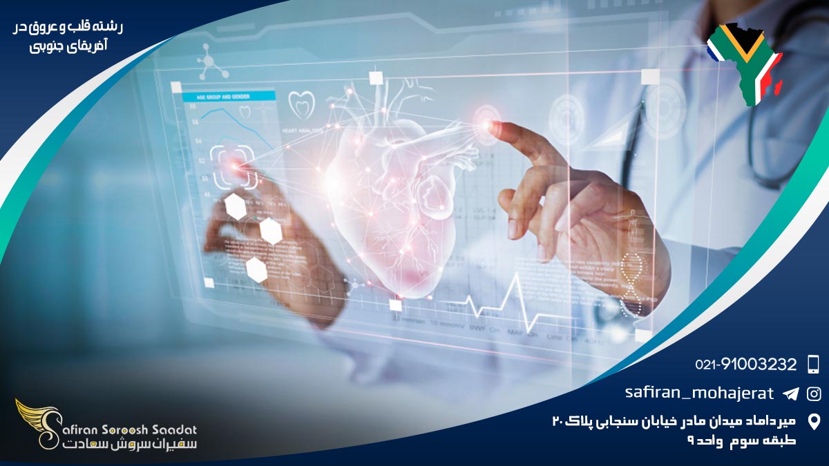 رشته قلب و عروق در آفریقای جنوبی