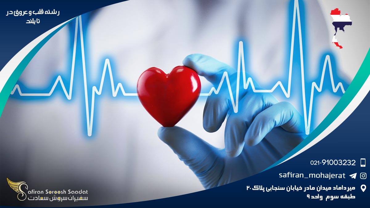 رشته قلب و عروق در تایلند
