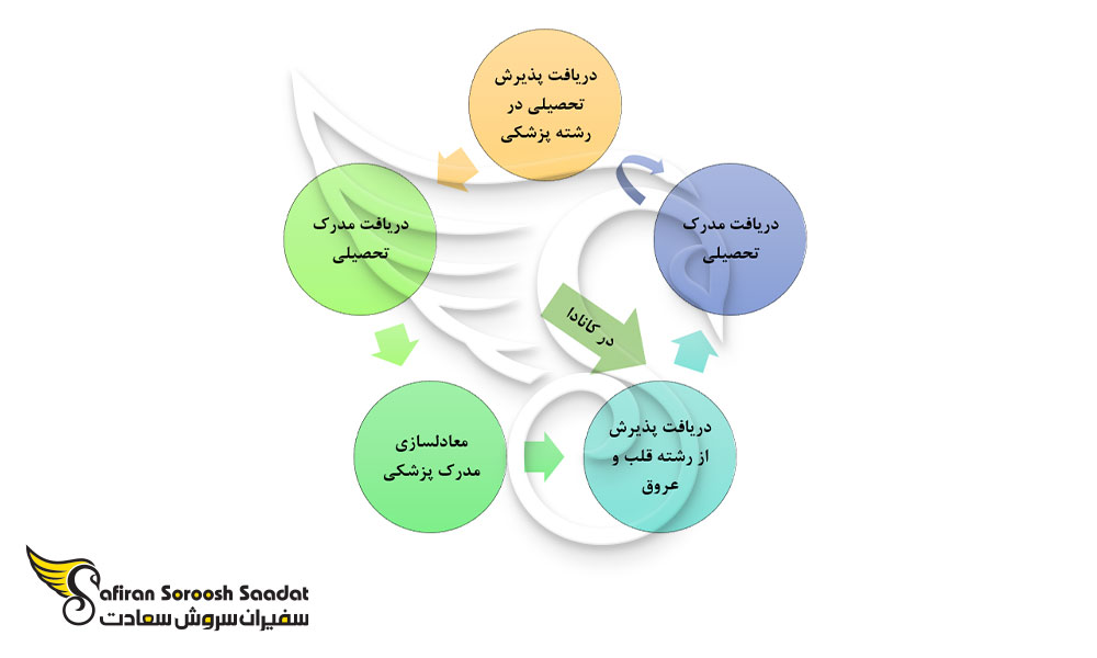پروسه دریافت مدرک رشته قلب و عروق در کانادا