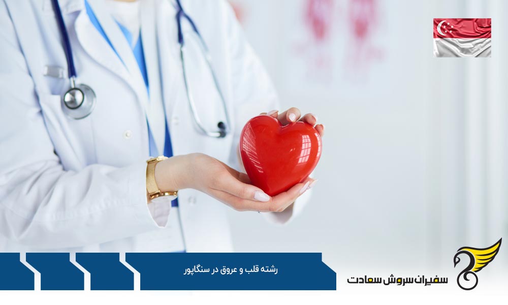شرایط تحصیل رشته قلب و عروق در سنگاپور