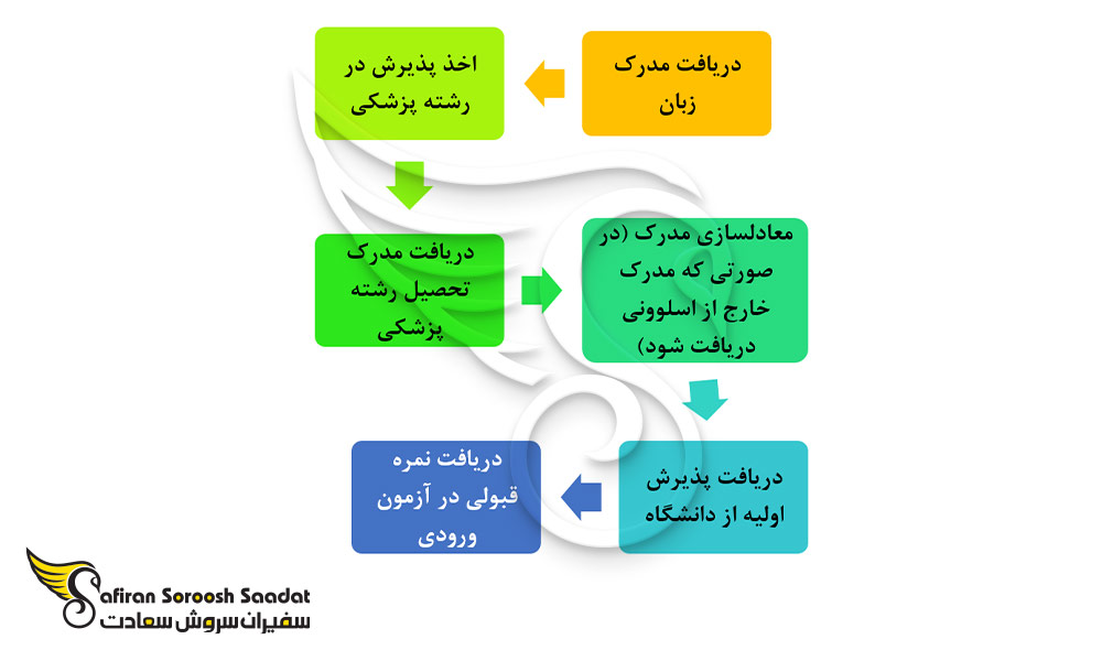 پروسه تحصیل رشته قلب و عروق در کشور اسلوونی
