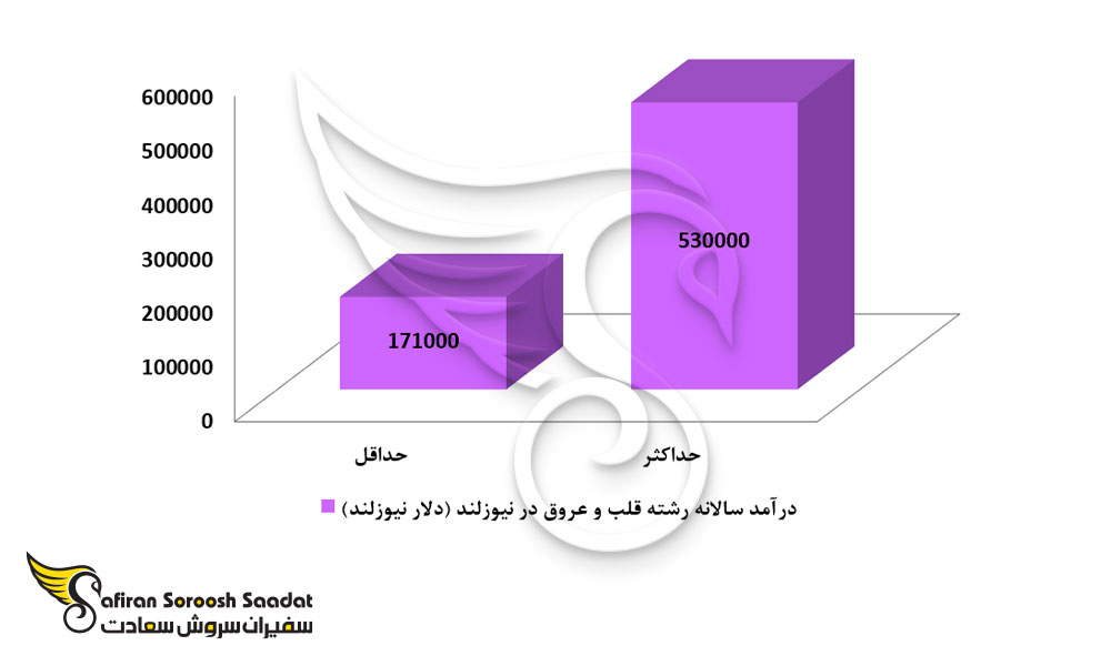 درآمد رشته قلب و عروق در نیوزلند