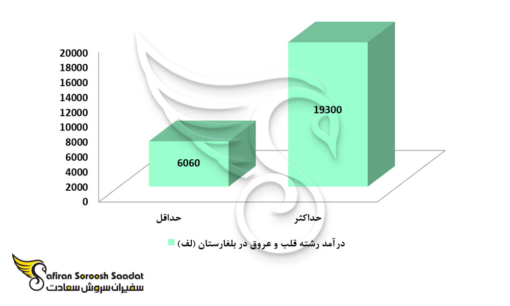 سطح درآمد رشته قلب و عروق در بلغارستان