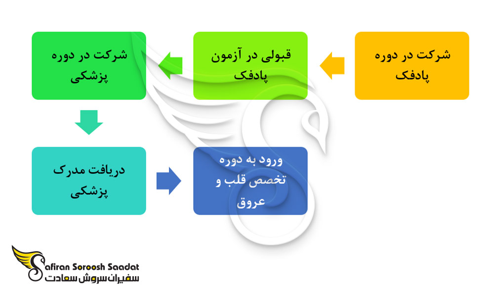 انتخاب رشته قلب و عروق در کشور روسیه