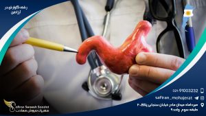 رشته گوارش در آرژانتین