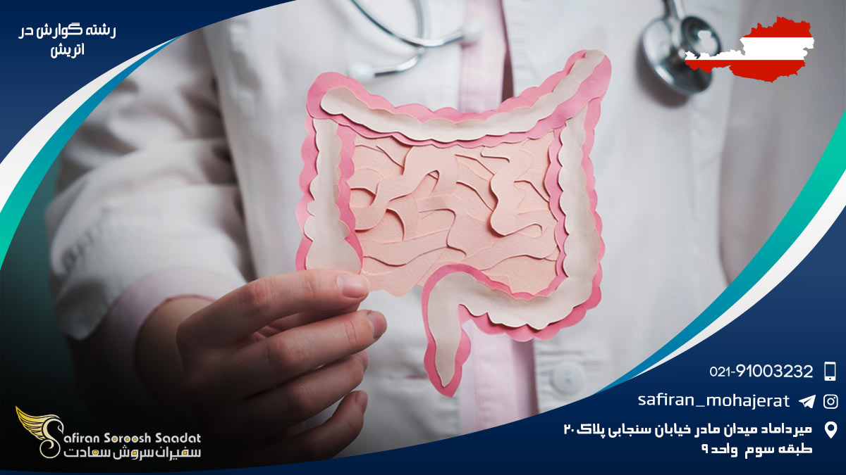 رشته گوارش در اتریش
