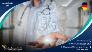 رشته گوارش در آلمان