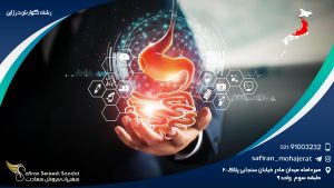 رشته گوارش در ژاپن