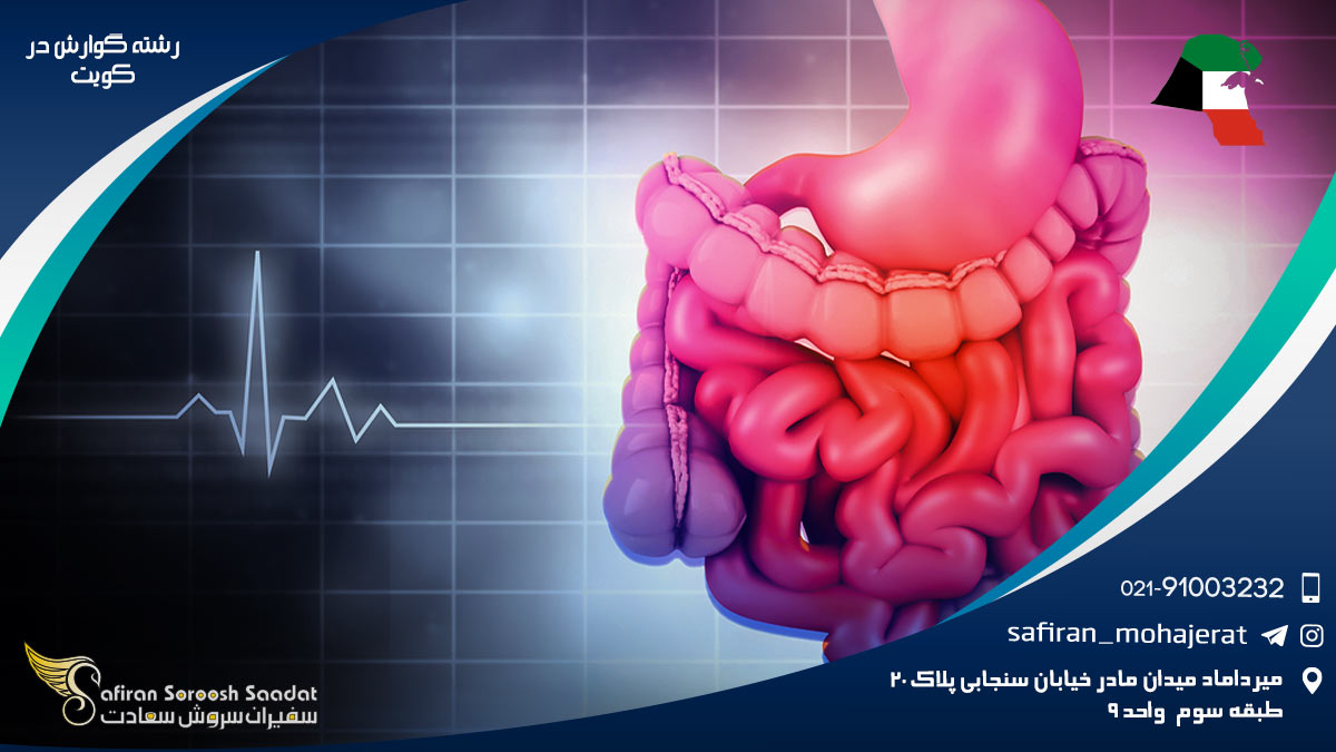 رشته گوارش در کویت