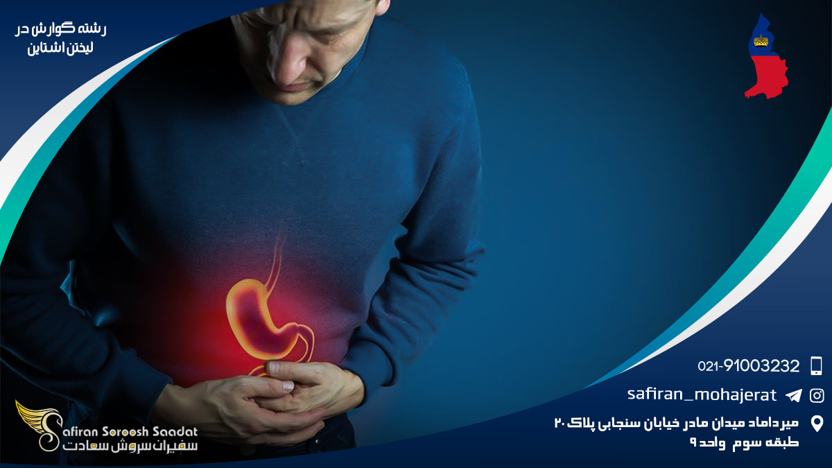 رشته گوارش در لیختن اشتاین