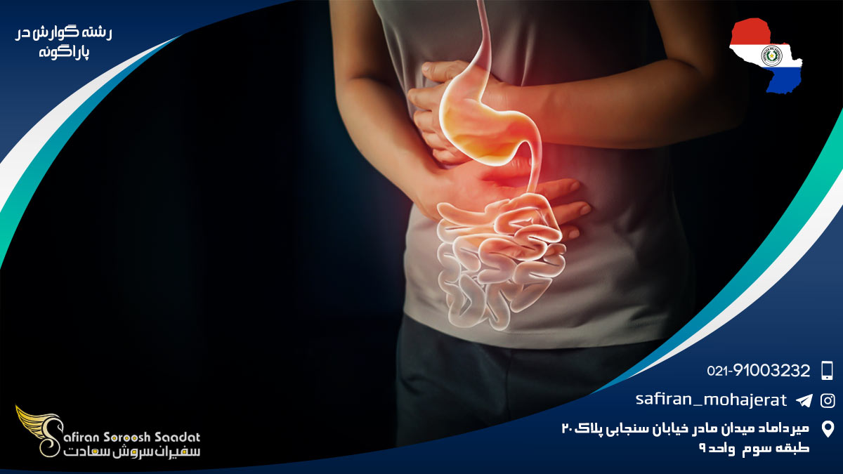 رشته گوارش در پاراگوئه
